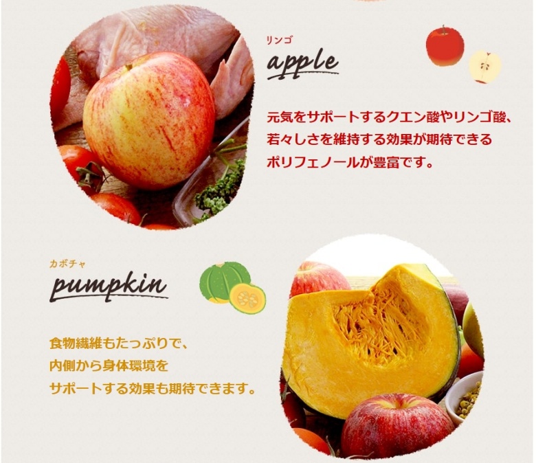 モグワン_リンコ・カボチャ