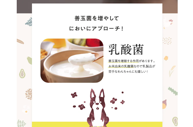 乳酸菌配合のこのこのごはん