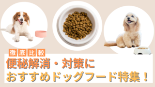 便秘解消・対策におすすめドッグフード8選！犬の便秘の原因も解説