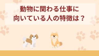 動物に関わる仕事に向いている人の特徴は？動物に関わる仕事のメリットデメリットを紹介！