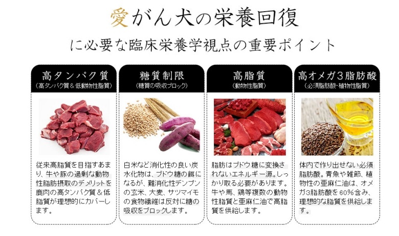 和漢みらいのドッグフード(G･A･N+)_栄養回復