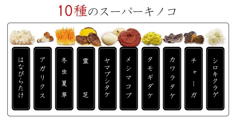 和漢みらいのドッグフード(G･A･N+)_漢方キノコ群