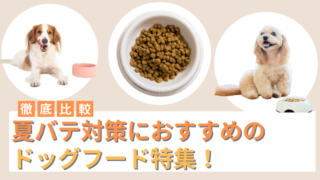 夏バテ対策におすすめのドッグフード5選！ご飯を食べない時の対処法も紹介