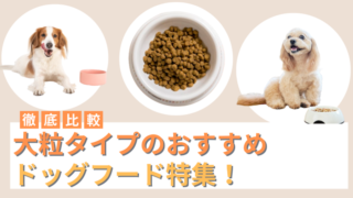 大粒タイプのおすすめドッグフード10選！中・大型犬向けを紹介