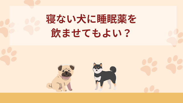 寝ない犬に睡眠薬を飲ませてもよい？注意点や使用しない場合の対策