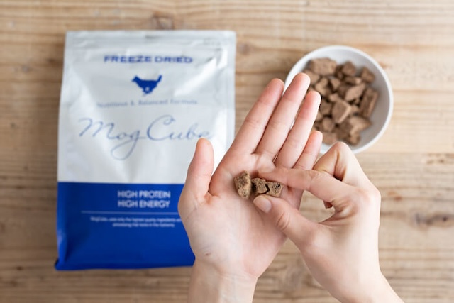 手のひらで崩されたモグキューブ