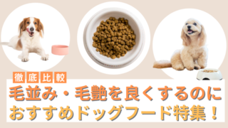 毛並み・毛艶を良くするのにおすすめドッグフード17選！