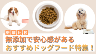 無添加のおすすめドッグフードランキング20選！安い・国産・グレインフリー