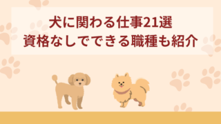 犬に関わる仕事21選！業務内容や資格なしでもできる職種を紹介