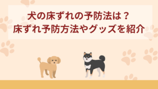 犬の床ずれの予防法は？床ずれ防止グッズや選び方などについても紹介！