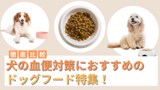 犬の血便対策におすすめのドッグフード5選！血便の原因や病院に行くべきか解説