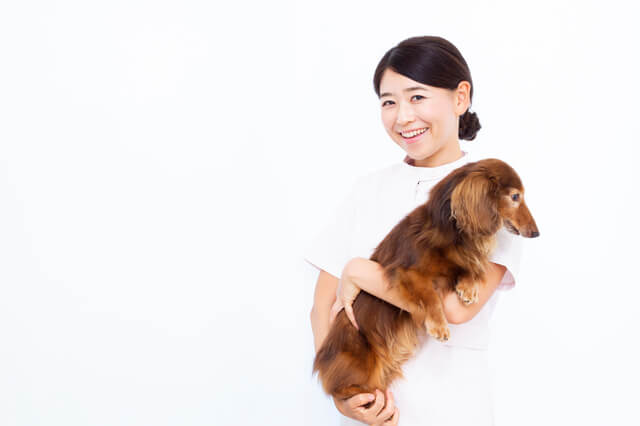 犬を抱っこする看護師