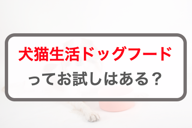 犬猫生活ドッグフードにはお試しやサンプルはある？お得に試す方法