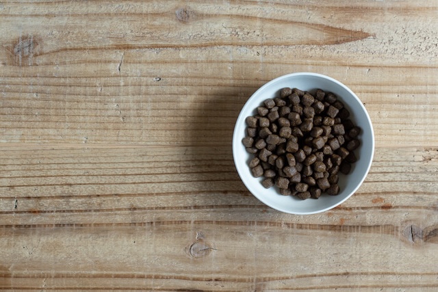 白いお皿に入れられたエッセンシャルドッグフード