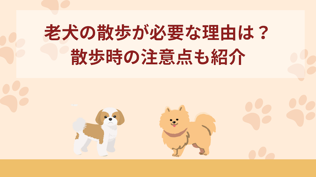 老犬(シニア犬)の散歩が必要な理由は？散歩の注意点なども紹介！