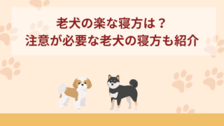 老犬(シニア犬)の楽な寝方は？注意が必要な場合もご紹介
