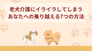 老犬介護に限界が来てイライラしてしまうあなたへ！乗り越える7つの方法