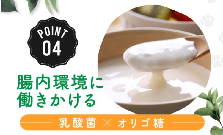 自然派わんこの厳選ごはん_腸内環境
