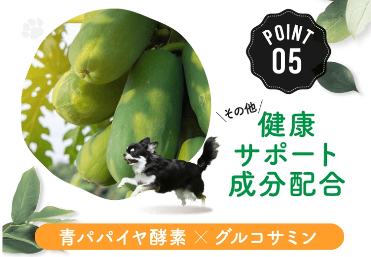 自然派わんこの厳選ごはん_青パパイヤ