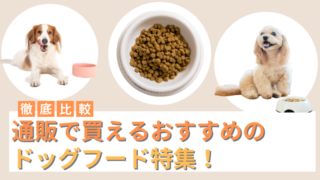通販ドッグフードのおすすめ10選｜口コミで評判の安全で安い餌は？