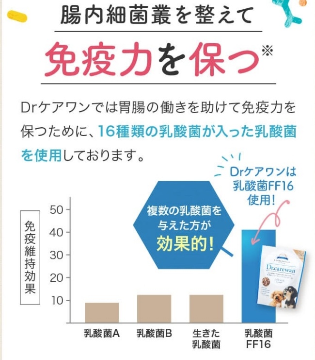 Drケアワン_乳酸菌
