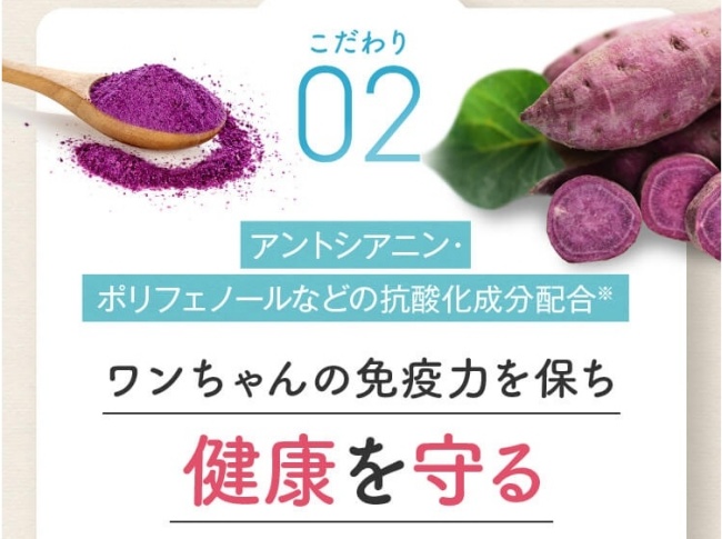 Drケアワン_抗酸化成分の配合