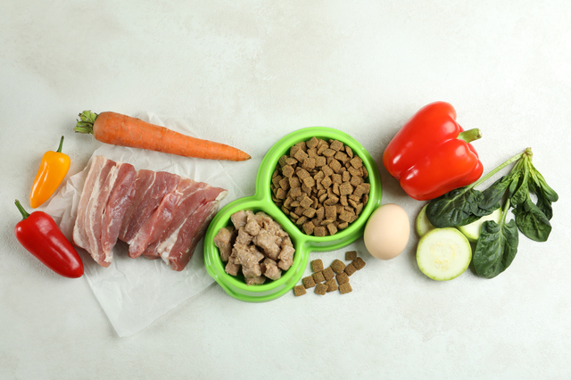 高級ドッグフードの4つの傾向