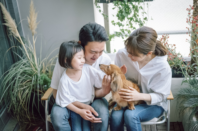 高級ドッグフードおすすめ15選！