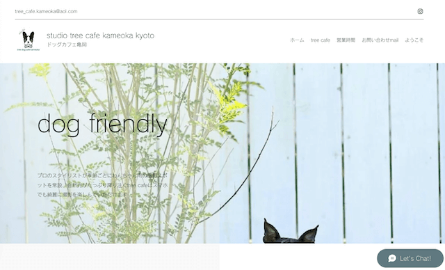 studio tree cafe(スタジオツリーカフェ)