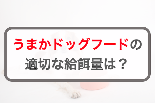うまかドッグフードの適切な給餌量！計算方法・早見表を公開【子犬・成犬・シニア犬】