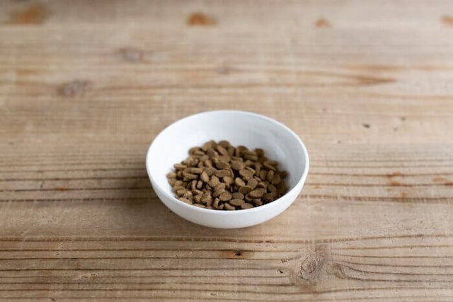 お皿に入れられたうまかドッグフード