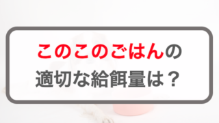 このこのごはんの給餌量！適切な量の計算方法や多いかの判断方法を解説