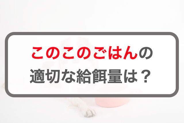 このこのごはんの給餌量！適切な量の計算方法や多いかの判断方法を解説