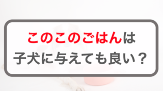 このこのごはんはパピー(子犬)に与えても大丈夫？生後何か月から？