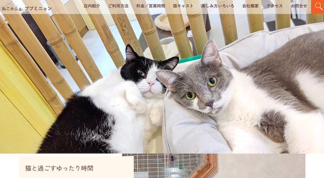 ねこかふぇ ププ・ミニョン