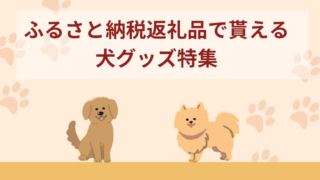 ふるさと納税返礼品で貰える犬グッズ14選！犬の首輪やペット用品など