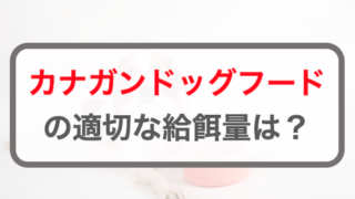 カナガンドッグフードの給餌量！子犬～シニア犬の量の計算方法
