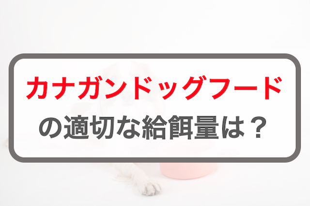 カナガンドッグフードの給餌量！子犬～シニア犬の量の計算方法