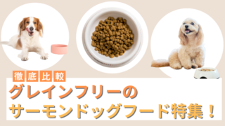 グレインフリーのサーモンドッグフード5選！安全と評判のいいフードを徹底比較