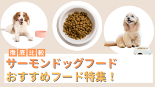 サーモンドッグフードおすすめ11選！安全と評判のフードを徹底比較