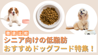 シニア向けの低脂肪ドッグフードおすすめ5選！肥満の犬におすすめフード