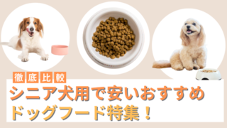 シニア犬用で安いおすすめドッグフード5選！コスパの良い市販フードを徹底比較