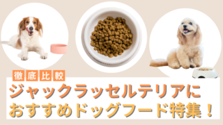 ジャックラッセルテリアにおすすめのドッグフード17選！選び方や餌代も解説