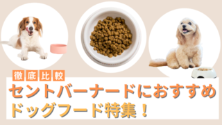 セントバーナードにおすすめのドッグフード10選！選び方も解説
