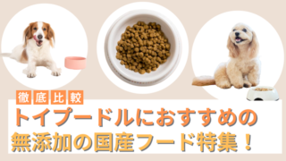 トイプードルにおすすめの無添加の国産ドッグフード 15選！安心と評判のフードをご紹介！