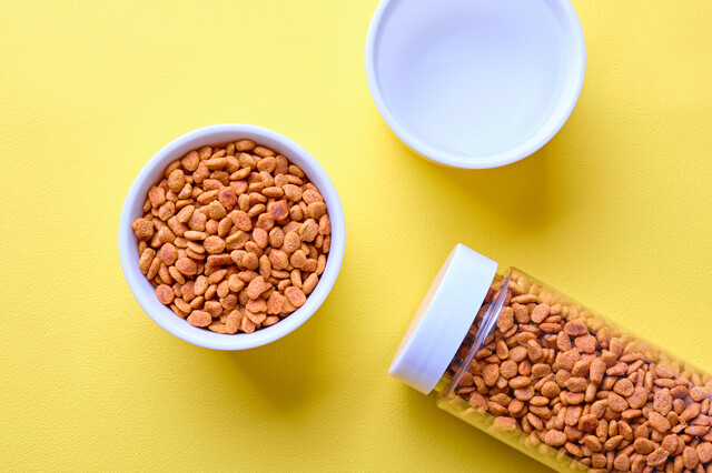 ドッグフード