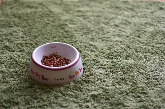 ドッグフード