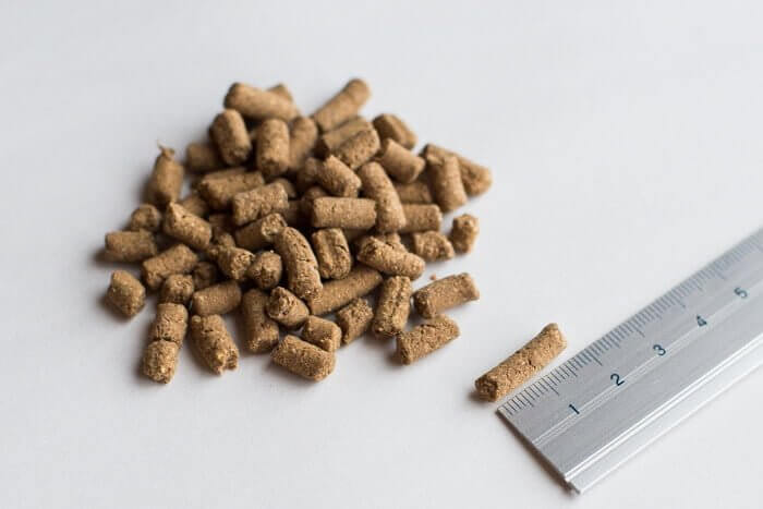 ドッグフードのサイズ