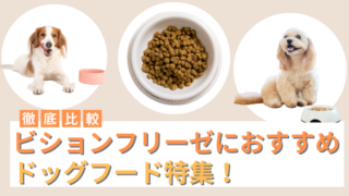 ビションフリーゼにおすすめのドッグフード15選！選び方やQ&Aも紹介