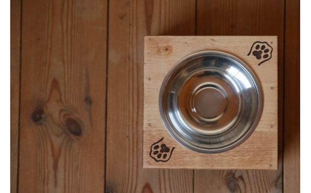 ペット用 フードボウル（ネコちゃん用ボウル）